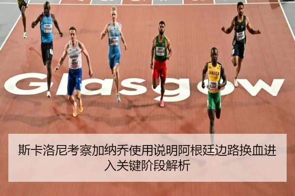 si-ka-luo-ni-kao-cha-jia-na-qiao-shi-yong-shuo-ming-a-gen-ting-bian-lu-huan-xie-jin-ru-guan-jian-jie-duan-jie-xi-2-441.jpg